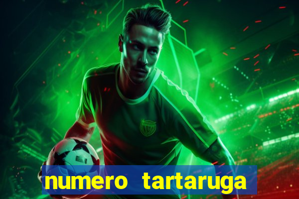 numero tartaruga jogo do bicho